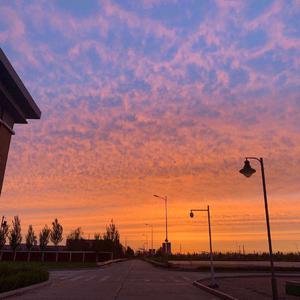 羞羞网站免费看
