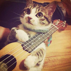 羞羞网站免费看
