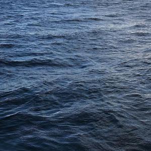 羞羞网站免费看
